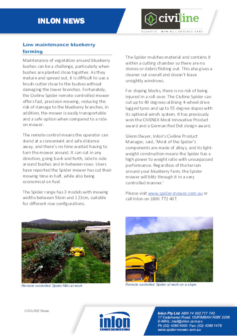 Low maintenance blueberry farming